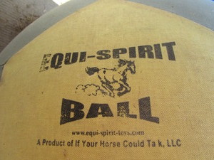 lot 154 image: Equi Spirit Bal 40