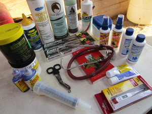 lot 181 image: Horse First Aid Supplies