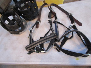 lot 207 image: Breakaway Halters, Grazing Muzzles