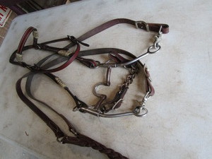 lot 214 image: Bridle Set
