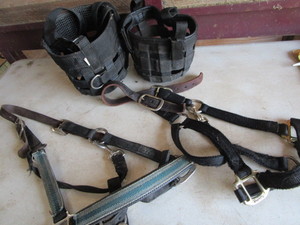 lot 232 image: Grazing Muzzles, Breakaway