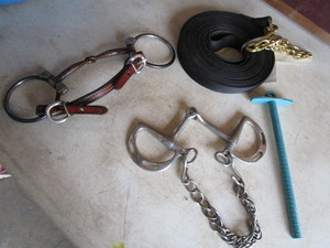 lot 238 image: Bits, Sizer, Lunge Line