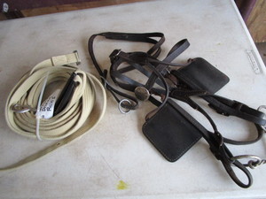 lot 269 image: Bridle Set, Driving Reins
