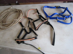 lot 273 image: Halters, Waxed Rope
