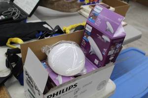 lot 756 image: Lot of (4) Philips LED Wide Surface Lights 16W (in original packaging)