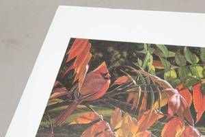 lot 793 image: Sumac by Bruce Miller #1301508 Print