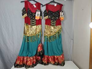 lot 159 image: 2 New Adult Fortune Teller Costumes