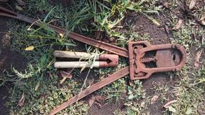 lot 224 image: (2) Dehorning tools.