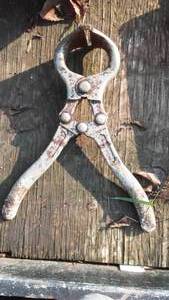 lot 232 image: Castration hand tool.