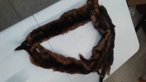 lot 267 image: Mink Stole.