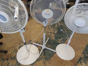 Three Fans- White