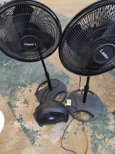 Three Fans- Black