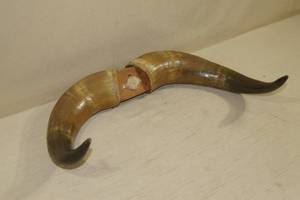 lot 84 image: Set of Mounted Horns