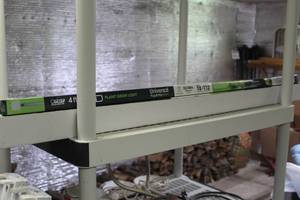 lot 421 image: Lot of (7) Feit Electric Universal Plug & Play (Type A) LED Plant Grow Lights 4 20W
