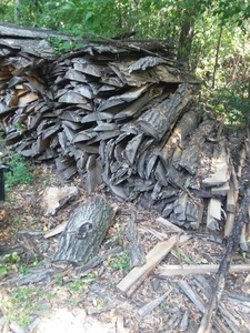 lot 566 image: Pile of Firewood