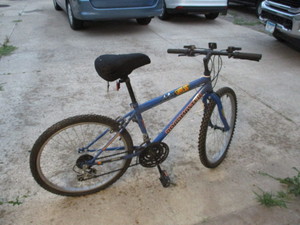 Roadmaster Mt Fury Bike