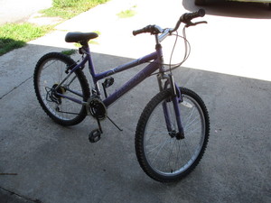 Magna Bike 24