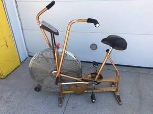 Schwinn Air-Dyne