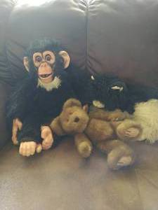 Collection Of Stuffed Animals