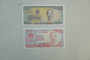Foreign Currency