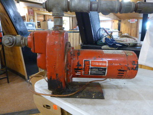 Red Lion Water Pump