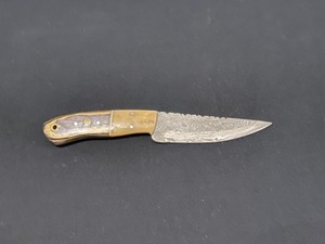Custom Damascus Steel Blade Knife