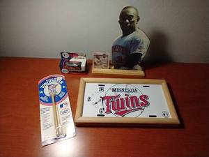 Minnesota Twins Lot