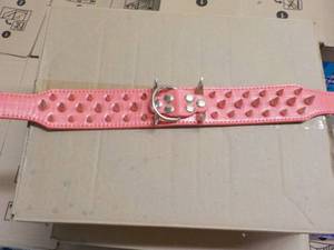 Collar with Spikes...