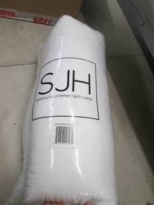 lot 19 image: set of 2 pillows 20 in x 28 in...