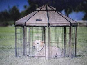 Advantek 5 x 5 Pet Gazebo open bo...