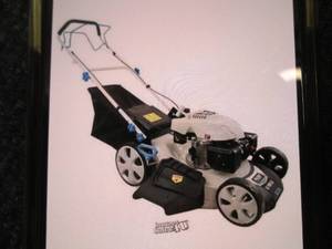 Pulsar 21 inch 173 CC Gas Recoil St...