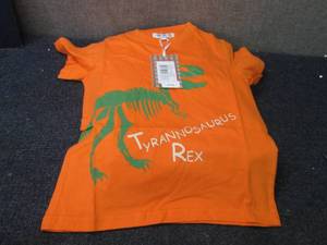 9 T-Rex Tshirts Size 6...