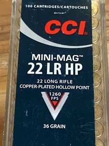 (100) Rouds Of .22LR