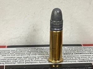 (50) Rounds .22LR