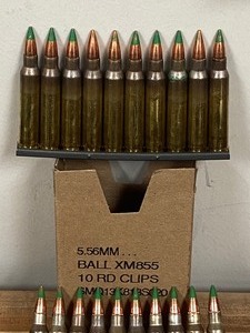 (30) Rounds 5.56 x 45mm