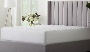 lot 63 image: Dr. Oz Good Life Queen Waterproof Engineered Down Mattress Pad