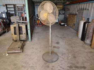 lot 49 image: 24 Pedestal Fan, Works, May Need C...