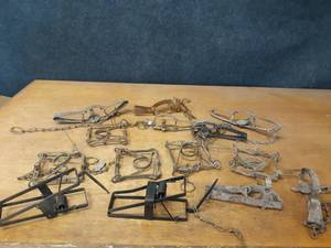 lot 276 image: Large Lot of (14) Animal Traps