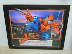 Spider-Man Picture