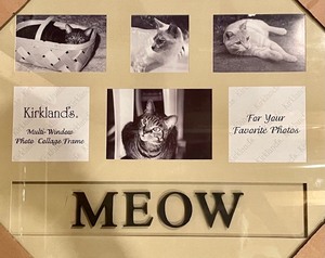 lot 422 image: New Meow Cat Picture Frame