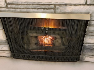 lot 231 image: Montgomery Ward Fireplace