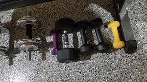 Weight Bench with Free Weights