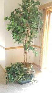 Tall Silk Tree with Greenery Baskets