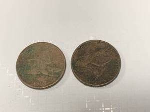 lot 39 image: 1957 & 1958 Flying Eagle Cents