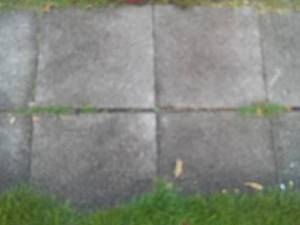 Pavers (116) 18 x 18 x 2 cement blocks