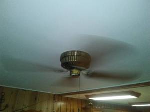 Carpet, Ceiling Fan and 3 Light Fixtures