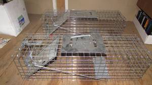 (2) Live Traps