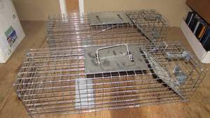 (2) Live Traps