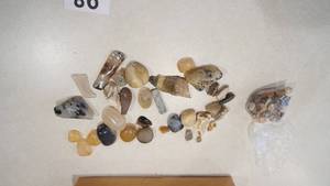 lot 98 image: Collection Of Polished Rocks