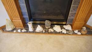 lot 151 image: Miscellaneous Sizes & Shapes Of Shells Collected From Various Places